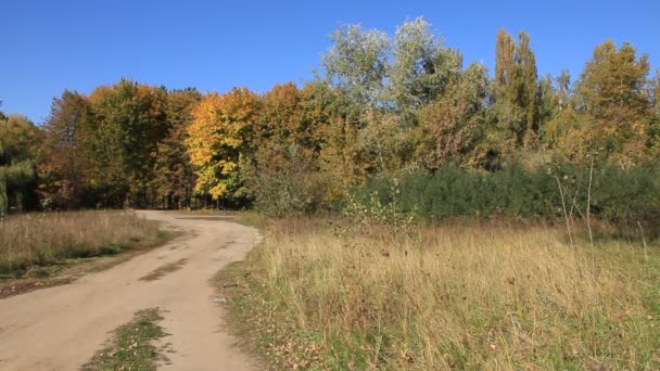 Schöner Herbst — Stockvideo