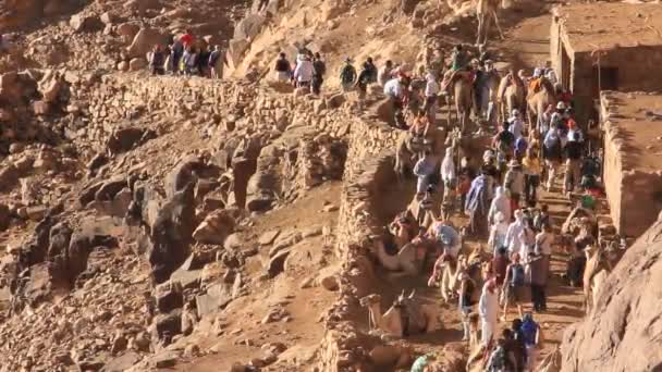 Peregrinos. Moses Mountain. Península del Sinaí. Egipto — Vídeo de stock