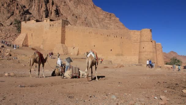 Mosteiro de Santa Catarina. Península do Sinai. Egipto — Vídeo de Stock