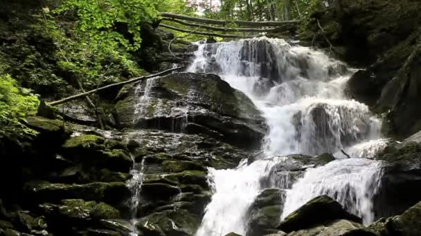 Cascade