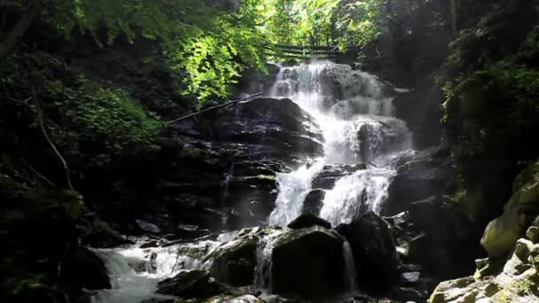 Waterfall in Carpathian Mountains — Stock Video