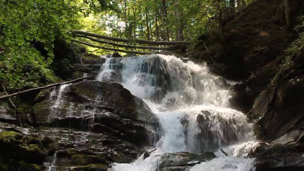 Cachoeira — Vídeo de Stock