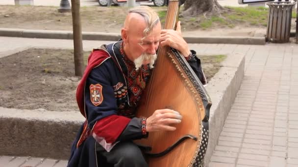 Old free Cossack. Bandura player — Stock Video
