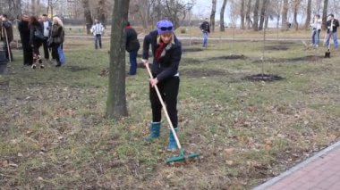 Komisyon iki yaprakları büyük ağaç yığınına sonbahar düşmüş.