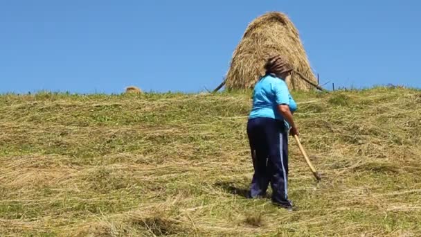 ¡Haystacks! — Vídeos de Stock