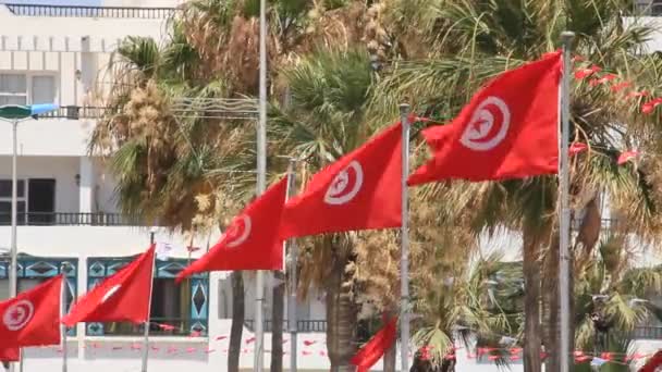 Nationalflagge der Tunesier — Stockvideo