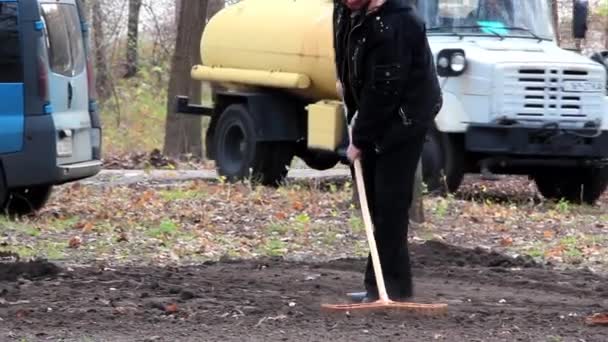 Un couple de râteau feuilles tombées de grand arbre en pile au cours de l'automne . — Video