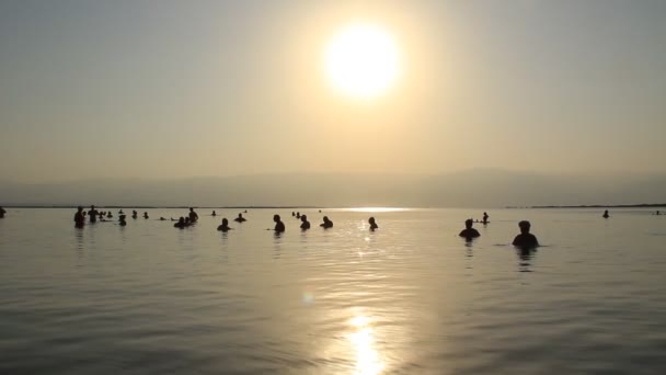 Bañarse en el Mar Muerto por la mañana, Israel — Vídeos de Stock