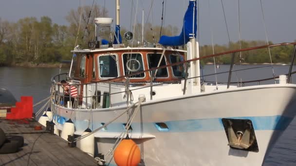 Лодки в гавани — стоковое видео