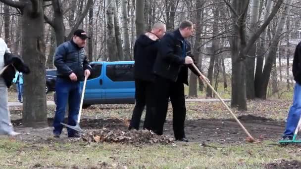 Ett par av rake fallit blad från stora träd i högen under hösten. — Stockvideo