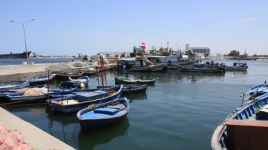 Harbour tekneler