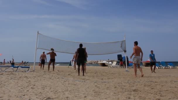 Voleibol — Vídeo de Stock