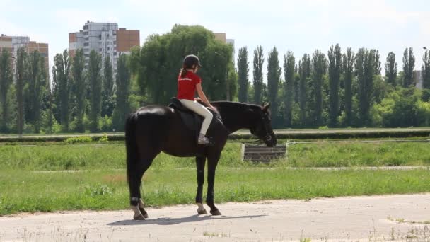 Молодий вершник — стокове відео