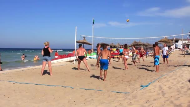 Volley-ball — Video