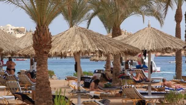 Playa en Túnez — Vídeo de stock