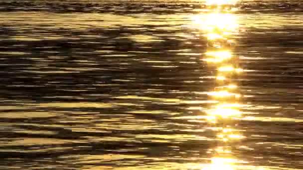 Słońce refleksami — Wideo stockowe