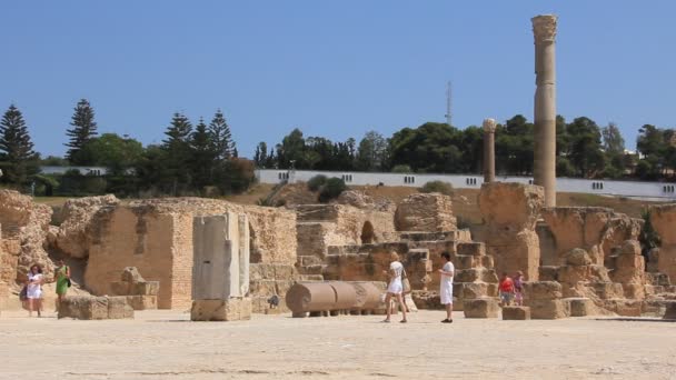 Ruins of ancient Carthage in Tunisia — Stock Video