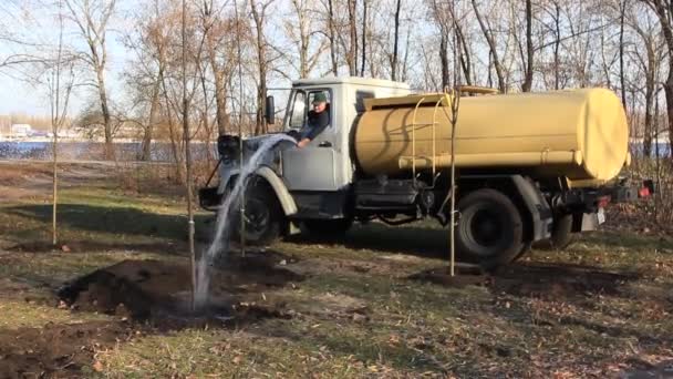 Watering trees — Stock Video