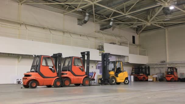 Storage room and forklift loaders — Stock Video