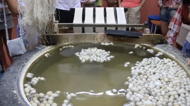 Cocon de ver à soie sur moulin à soie. Sériculture — Video
