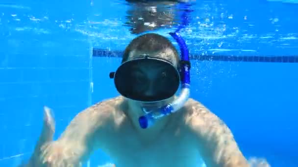 Underwater swimming — Stock Video