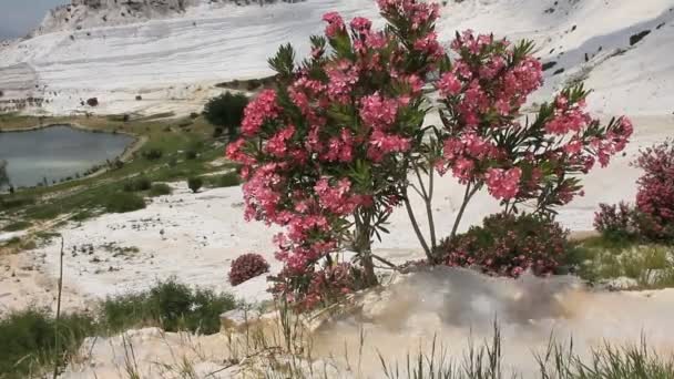 Pamukkale - bomull slottet denizli provins i sydvästra Turkiet — Stockvideo