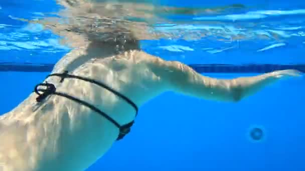 年轻女子在游泳池中潜水 — 图库视频影像