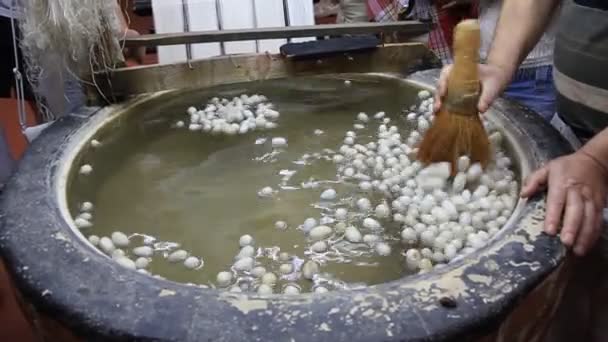 Silkworm cocoon on silk mill. Sericulture — Stock Video