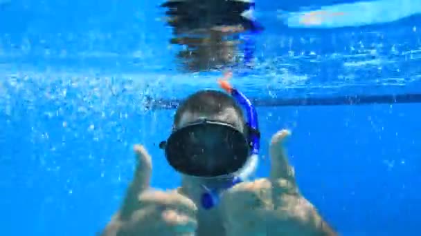 Underwater swimming — Stock Video