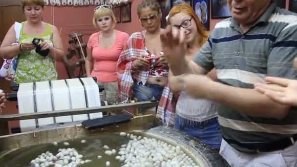 Silkworm cocoon on silk mill. Sericulture — Stock Video