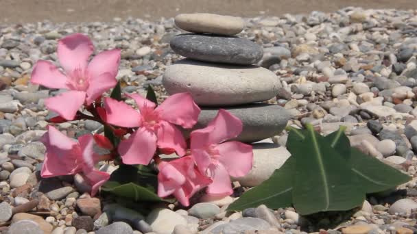 Zen pedras em uma praia — Vídeo de Stock