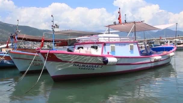 白色摩托艇在港口 — 图库视频影像