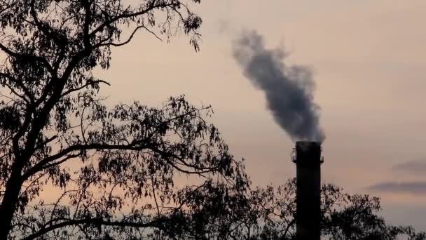 Luftverschmutzung in der Atmosphäre — Stockvideo