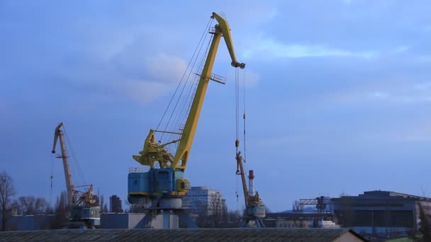 Industrial crane — Stock Video