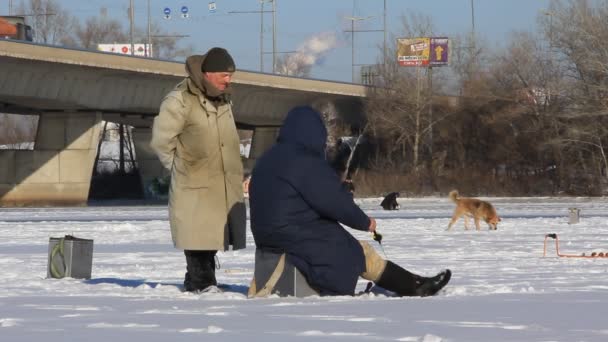 Winter fishing — Stock Video