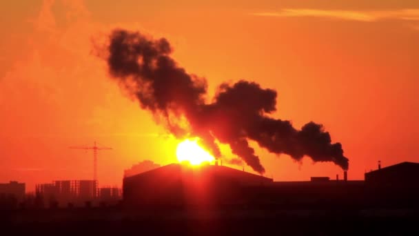 Coucher de soleil derrière l'usine industrielle — Video