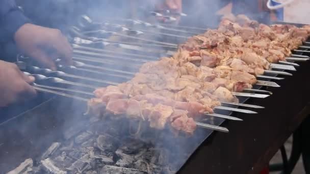 Shish kebab cooking on an outdoor grill — Stock Video