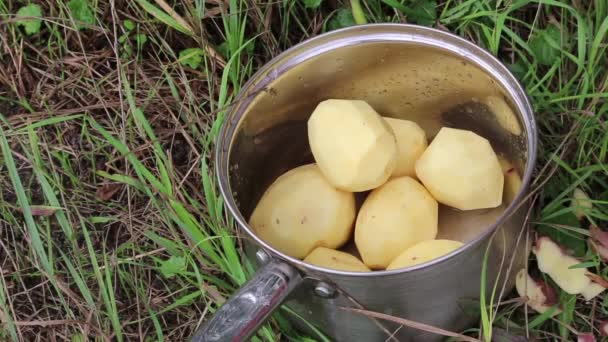 Casserole aux pommes de terre — Video