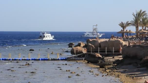 Хургада, Египет, Красное море — стоковое видео