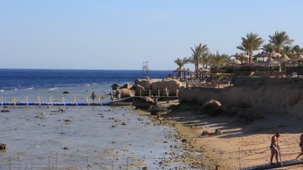 Hurghada, Egypte, rode zee — Stockvideo