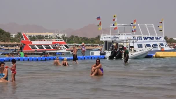 En la playa — Vídeos de Stock