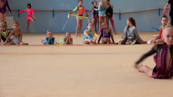 어린 체조 선수들을 훈련 시킴 — 비디오