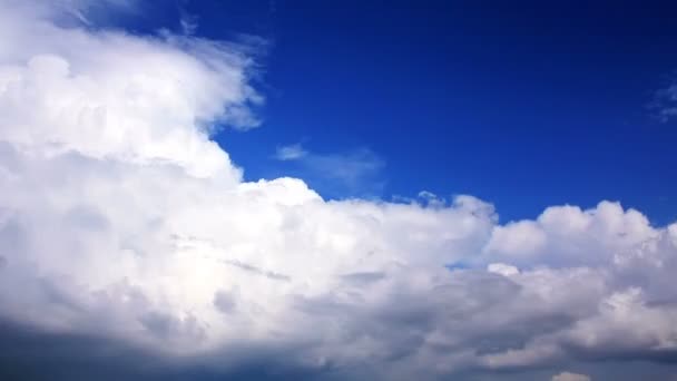 Storm wolken. Video zonder vogels — Stockvideo