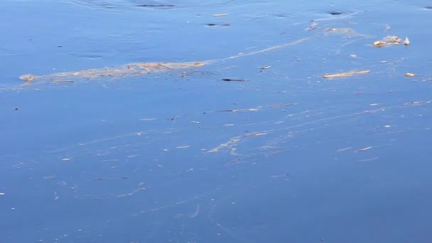 Agua turbia. Abuso del medio ambiente — Vídeo de stock