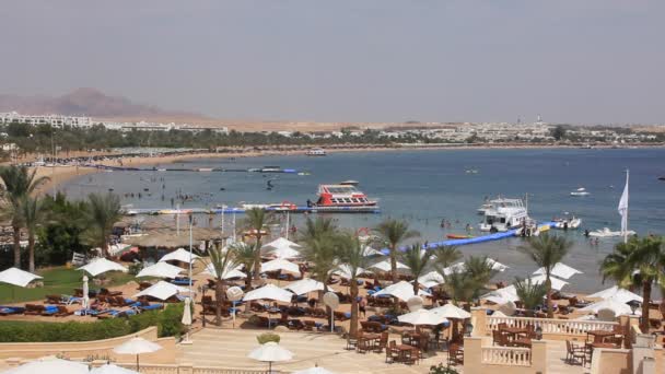 Bahía Naama. Sharm El Sheikh. Egipto — Vídeos de Stock