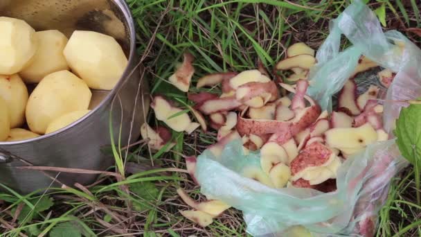 Pan met aardappelen en aardappel schillen — Stockvideo