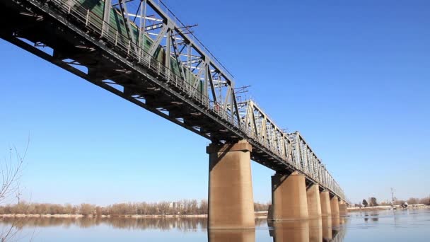 Railroad bridge and freight train — Stock Video