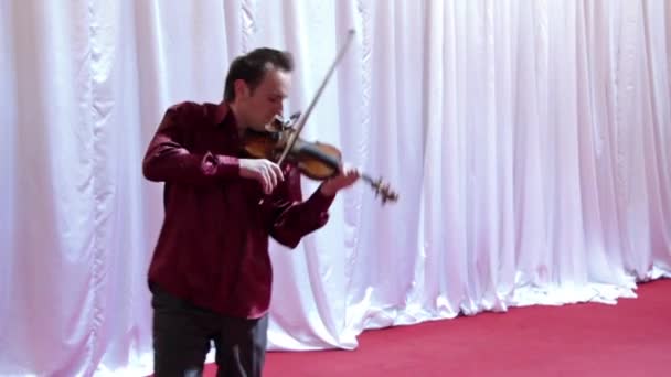 Violinista — Video Stock