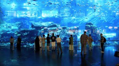 Oceanarium ve sualtı hayvanat bahçesi içinde dubai alışveriş merkezi Birleşik Arap Emirlikleri