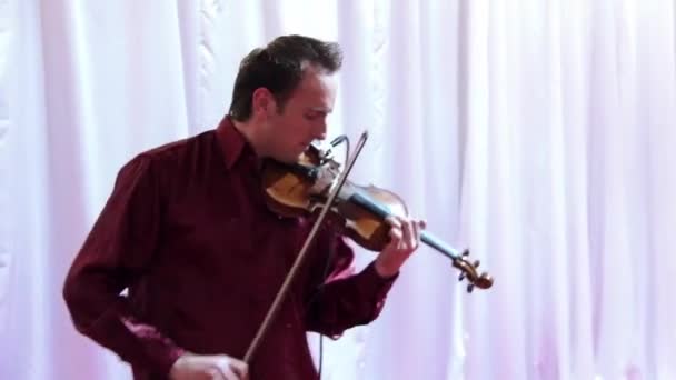 Violinist. — Stockvideo